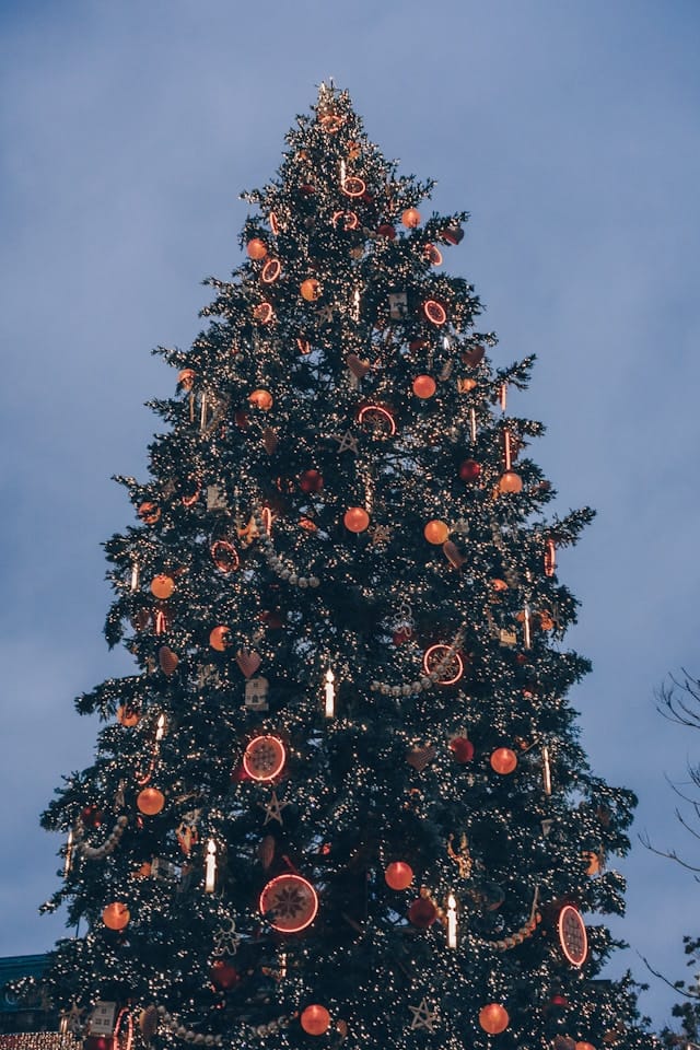 Le Grand Sapin de la Place Kléber : l’étoile des festivités